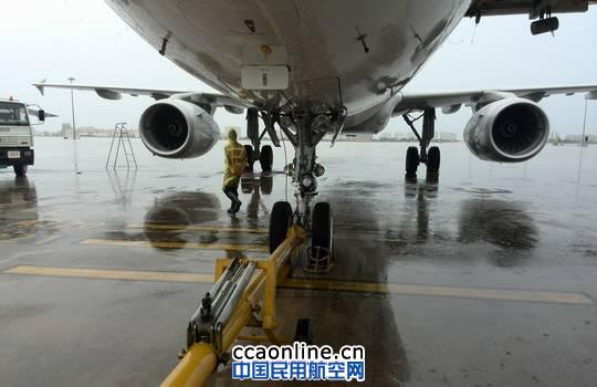 �Ϻ������w�C�S�ޏS�e�O����&ldquo;���R�d&rdquo;�_�L