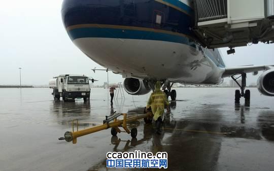 �Ϻ������w�C�S�ޏS�e�O����&ldquo;���R�d&rdquo;�_�L