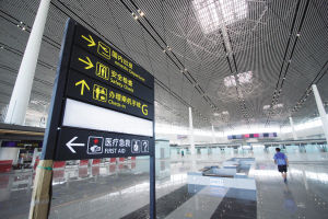 ���C��T2��������