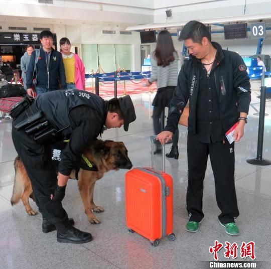 ��Ȯ�z�y�ÿ�������Ʒ������ �z