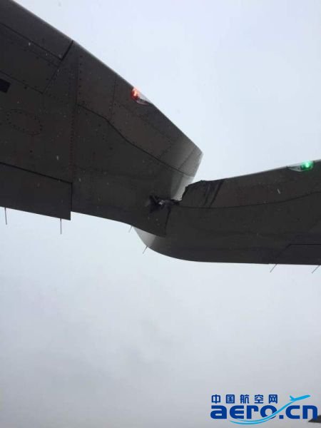 ���w�C���� �|���{���������ư����ÿͺ��m�г�