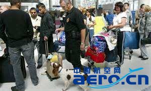 Ӣ�C�����fӢ�^���B����Ȯ ֻ���L�����c����