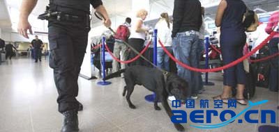 Ӣ�C�����fӢ�^���B����Ȯ ֻ���L�����c����