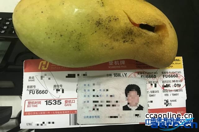 %e9%85%8d%e5%9b%be%ef%bc%9a%e6%89%93%e7%81%ab%e6%9c%ba%e8%a2%ab%e9%9a%90%e5%8c%bf%e8%97%8f%e4%ba%8e%e8%8a%92%e6%9e%9c%e5%86%85